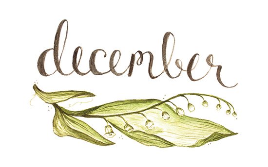 December | 2014 appointment calendar, watercolour, floral
