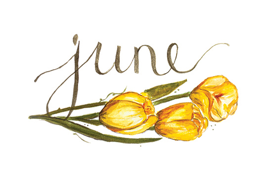 June | 2014 appointment calendar, watercolour, floral